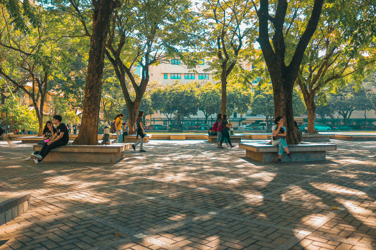 Students sitting under trees on a college campus. Photo by Richard Cabusao, courtesy of Unsplash
